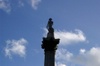 Nelson