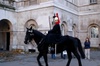 mounted ....